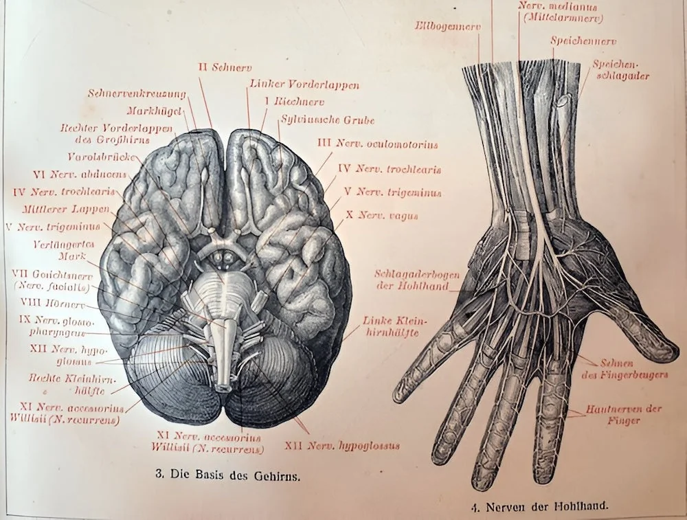 anatomy chart medicine is ayurveda science or fantasy